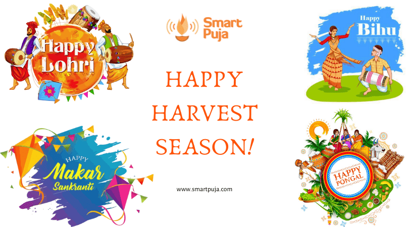 Makar Sankranti Pongal celebration Bihu festival are celebrated. @smartpuja.com