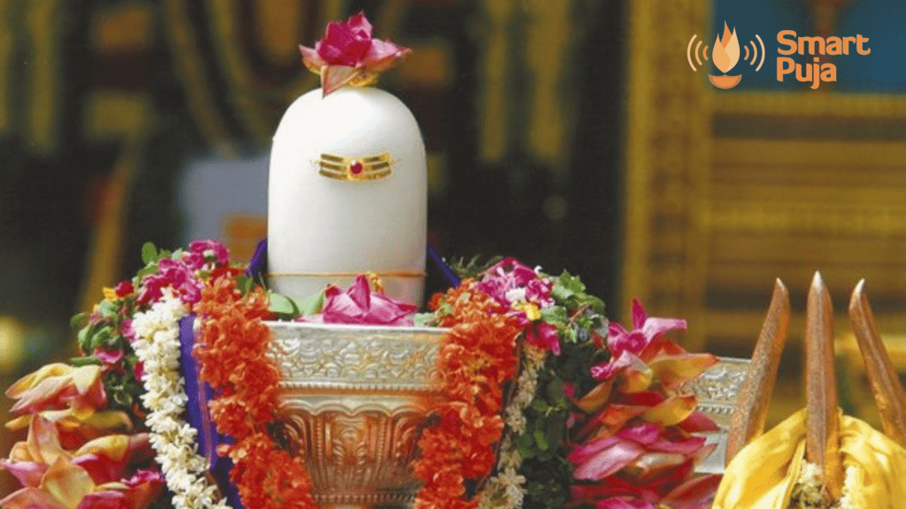Types of Rudrabhishek Puja
