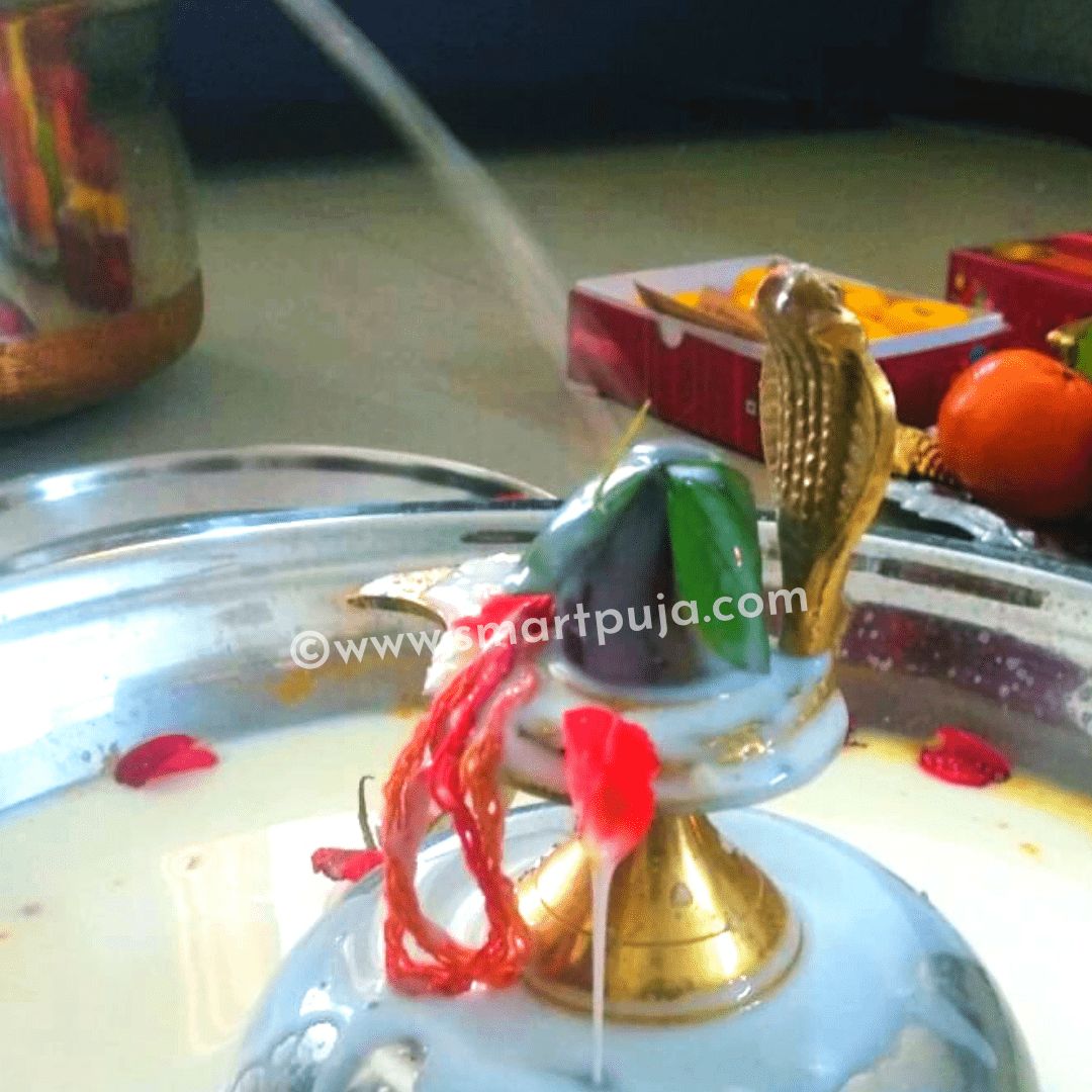Rudrabhishek Puja