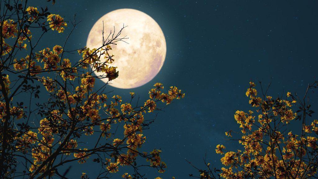 Kartik Purnima Puja Vidhi and Rituals