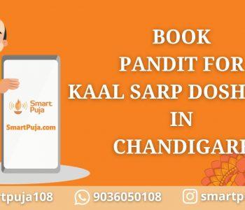 Book Pandit For Kaal Sarp Dosh Puja in Chandigarh