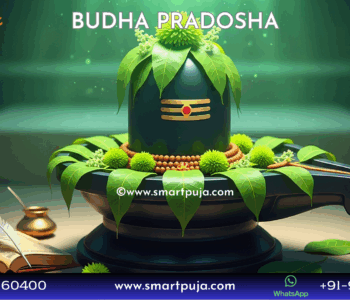 Budha Pradosh 2026 Shiva Puja for Intellect and Wisdom