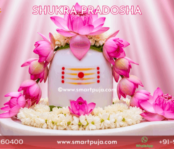 Shukra Pradosh 2026 Shiva Puja for Love and Harmony