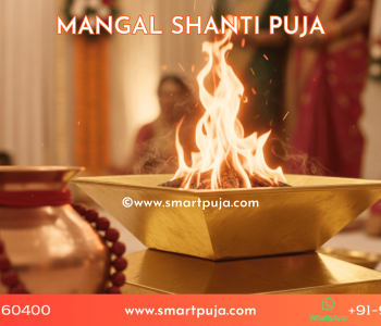 A Vedic Pandit performing a Mangal Dosha Nivaran Puja with red flowers and a copper Kalash. Which Puja Removes Mangalikk Dosha?